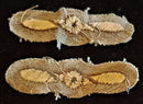 AIR FORCE SECOND WORLD WAR LEADING AIRCRAFTSMAN RANK (BROWN)