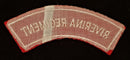 RIVERINA REGIMENT SHOULDER FLASH
