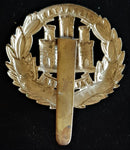 THE NORTHAMPTONSHIRE REGIMENT CAP BADGE
