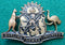 25th Infantry Battalion The Darling Downs Regiment 52mm painted brass Hat Badge