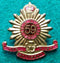 59th Infantry Battalion The Hume Regiment Single Enamel collar