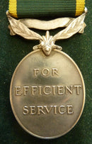 Single : Efficiency Medal 1930 George VI issue, bar "TERRITORIAL". Impressed to 4537085 CPL A. E. PICKERILL, PIONEER CORPS GD VF - SOLD