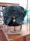 Irish Fusiliers Bearskin Busby Helmet.