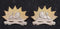 6th AIR opposing collar badges bi-metal 1900-12. Cossum states left hand one is rare.