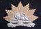 6th Australian Infantry Regiment bi-metal hat badge 1900-12