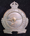 2nd Armoured Car Regiment oxy hat badge 1930-42.