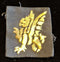 43RD WESSEX INFANTRY DIVISION EMBROIDED PATCH