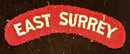 EAST SURREY SHOULDER FLASH