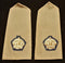 PAIR OF WW2 (BLUE SURROUNDED) MAJOR’S SHOULDER BOARDS MARKED “D” BROAD ARROW