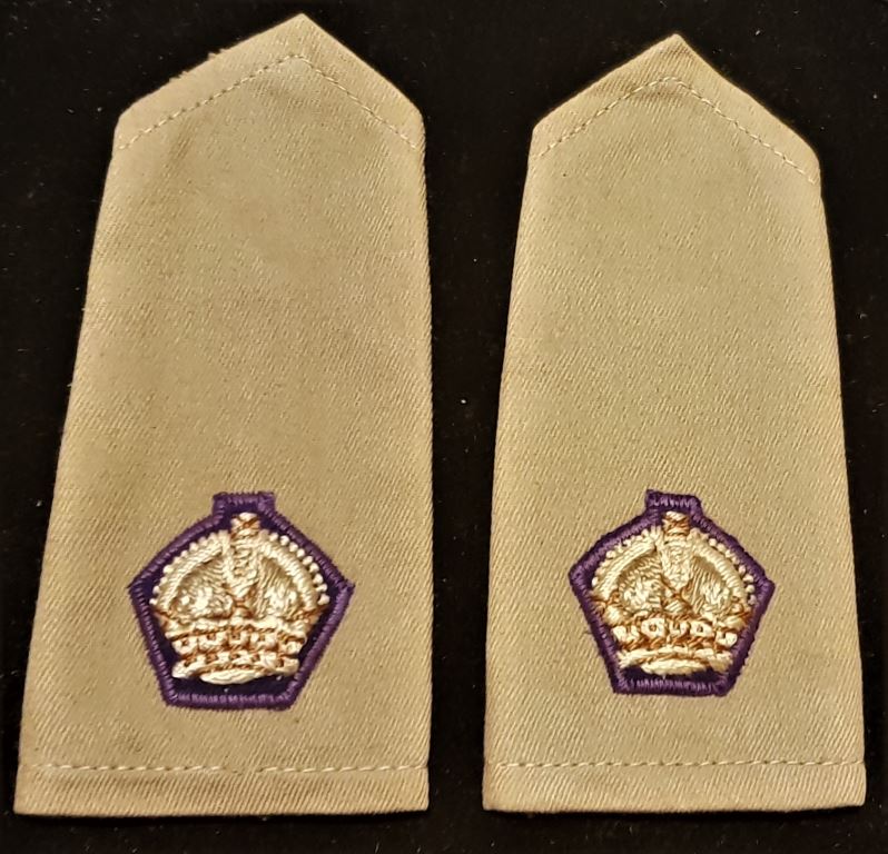 PAIR OF WW2 (PURPLE SURROUNDED) MAJOR’S SHOULDER BOARDS MARKED “D” BROAD ARROW