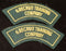 PAIR OF 6 RECRUIT TRAINING COMPANY SHOULDER FLASHES