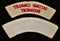 PAIR OF SECOND CAVALRY REGIMENT SHOULDER FLASHES