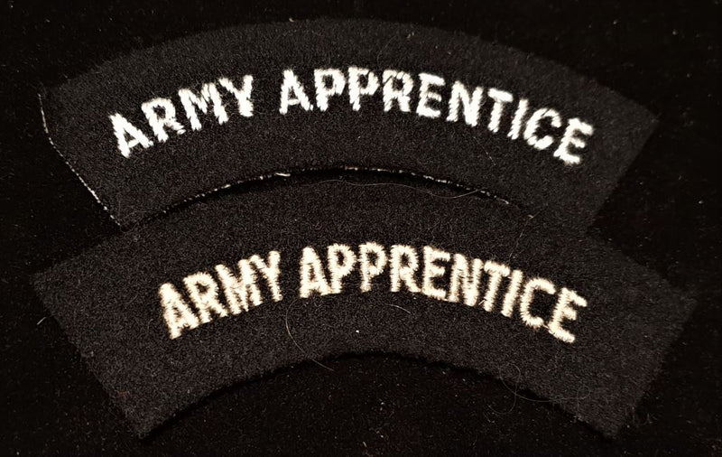 PAIR OF ARMY APPRENTICE SHOULDER FLASHES