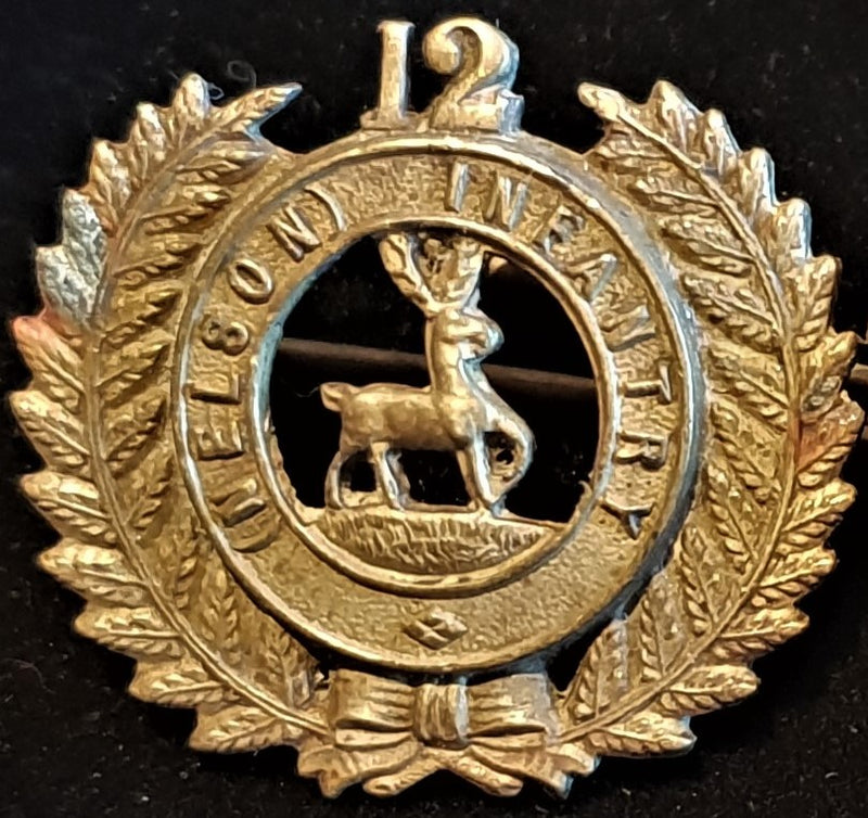 WW1 NEW ZEALAND 12TH NELSON REGIMENT COLLAR BADGE