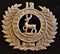 WW1 NEW ZEALAND 12TH NELSON REGIMENT CAP BADGE