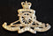 ROYAL NEW ZEALAND ARTILLERY QEII CAP BADGE