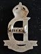 THE 22ND DRAGOONS CAP BADGE