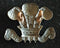 WILTSHIRE YEOMANRY CAP BADGE