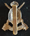 6th CARABINIERS CAP BADGE