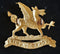 BRECKNOCKSHIRE CAP BADGE