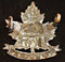 E175 - 175th BATTALION (MEDICINE HAT, ALBERTA) CAP BADGE