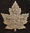 E53 - 53rd BATTALION (PRINCE ALBERT, SASKATCHEWAN) CAP BADGE