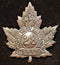 E28 - 28th BATTALION, (NORTH WEST) CAP BADGE