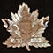 E27 - 27th BATTALION (CITY OF WINNIPEG) CAP BADGE