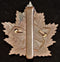 E-7 - 7th BATTALION (BRITISH COLUMBIA) CAP BADGE