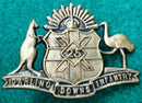 25th Infantry Battalion - The Darling Downs Regiment - Single oxidised collar & Single brass collar (C259) - SOLD