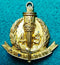 49th Infantry Battalion The Stanley Regiment 54mm Brass Hat Badge