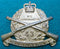 43/48th Infantry Battalion Hindmarsh Regiment Brass, 53mm, Hat Badge