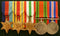 At John Burridge Military Antiques (JBMA) we take pride in the fact that we are Western Australia’s oldest medal mounting establishment. Angela Burridge is head of our medal mounting department and began working at JBMA in 1990.