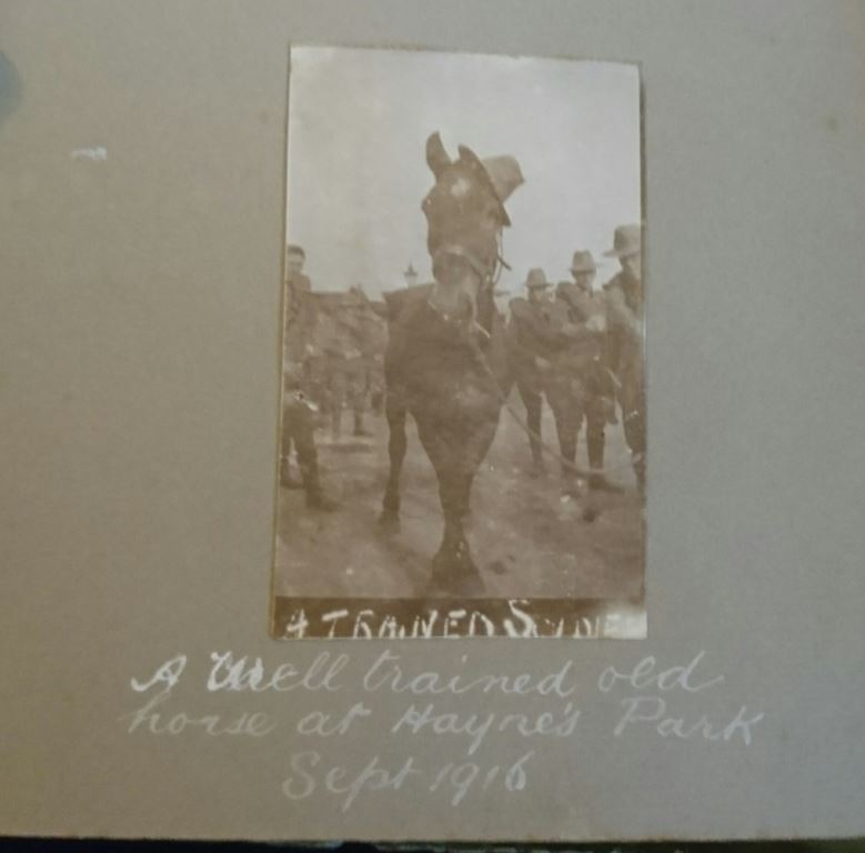 Photograph album containing 23 original WW1 period photos belonging to an Australian Soldier named “Arch”. The Album cover is titled “Snapshots taken by Arch. On active service 1916”. - SOLD