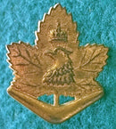 8/7th Infantry Battalion North Western Victoria Regiment Single brass left facing collar